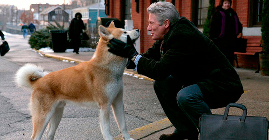 5 películas para querer más a tu perro