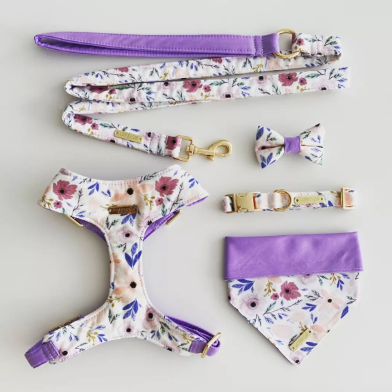 SET DE ACCESORIOS