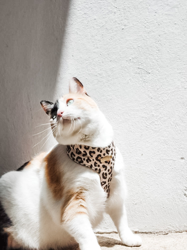 Pechera PRINCE
