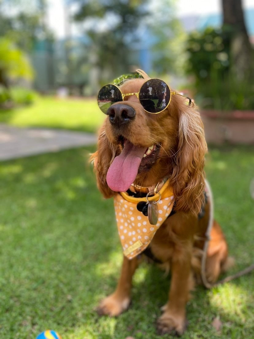 Bandana BROOKS