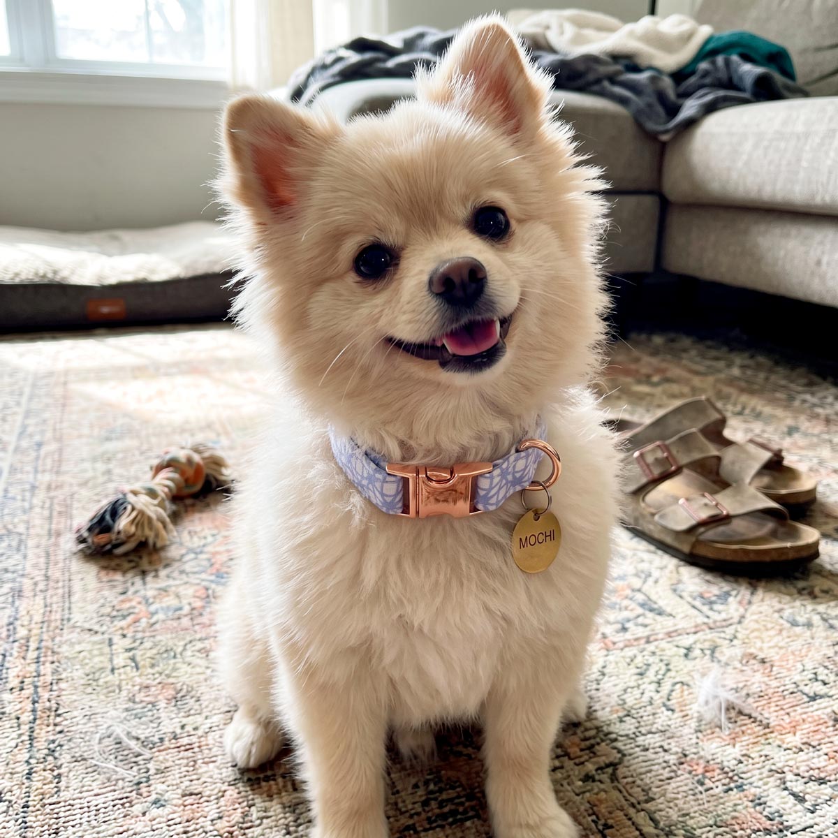 Collar BUFFY