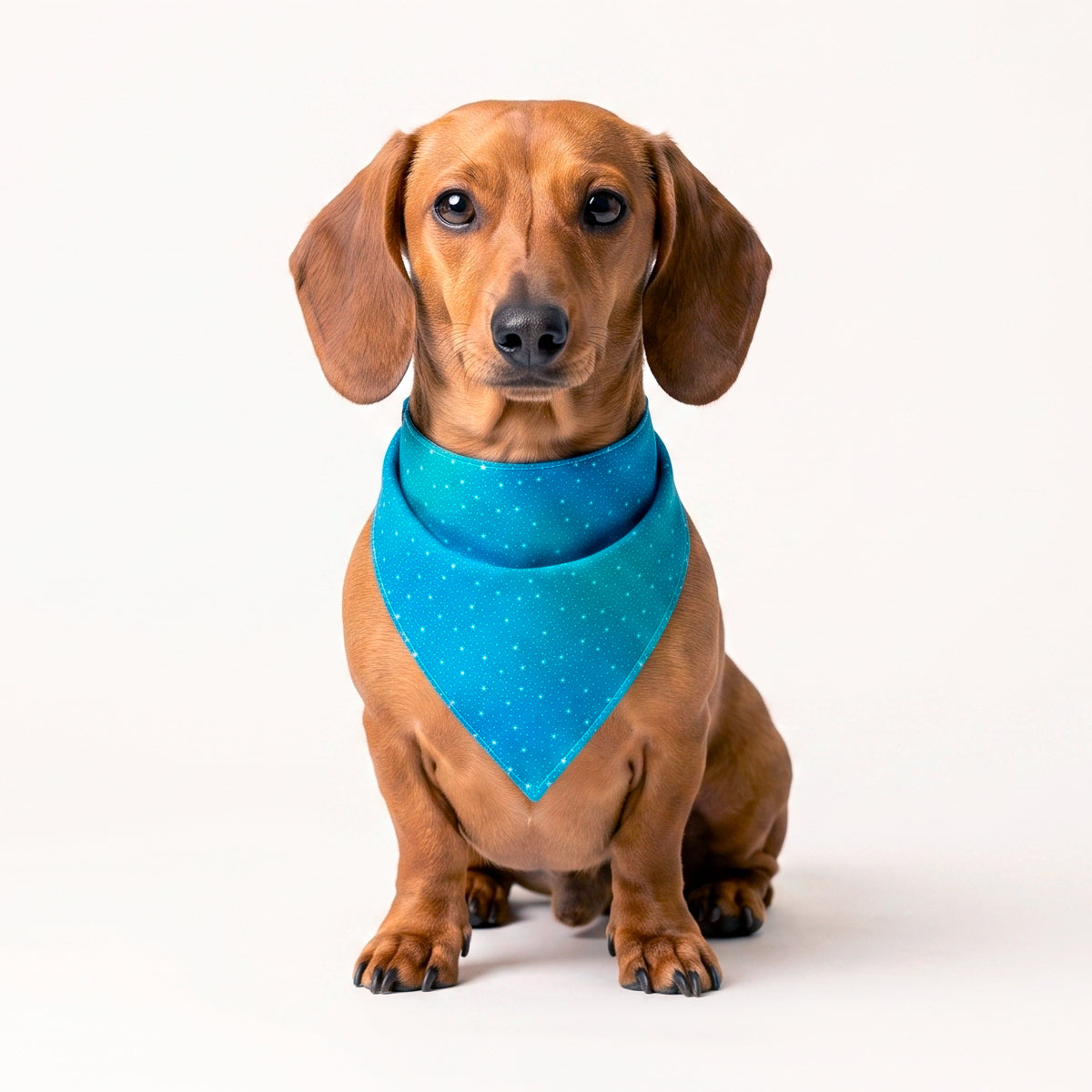 Bandana OWEN