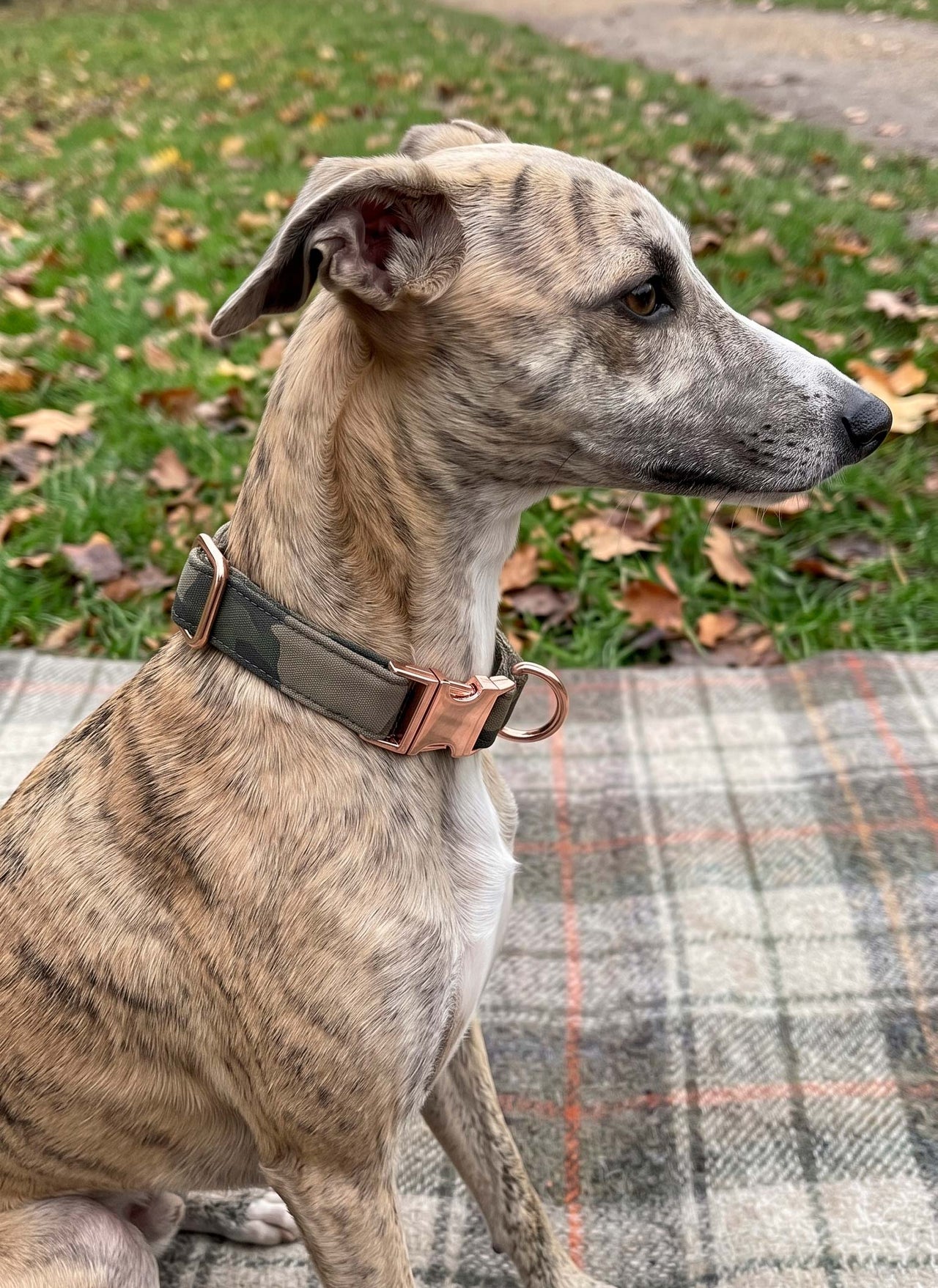 Collar OLIVER