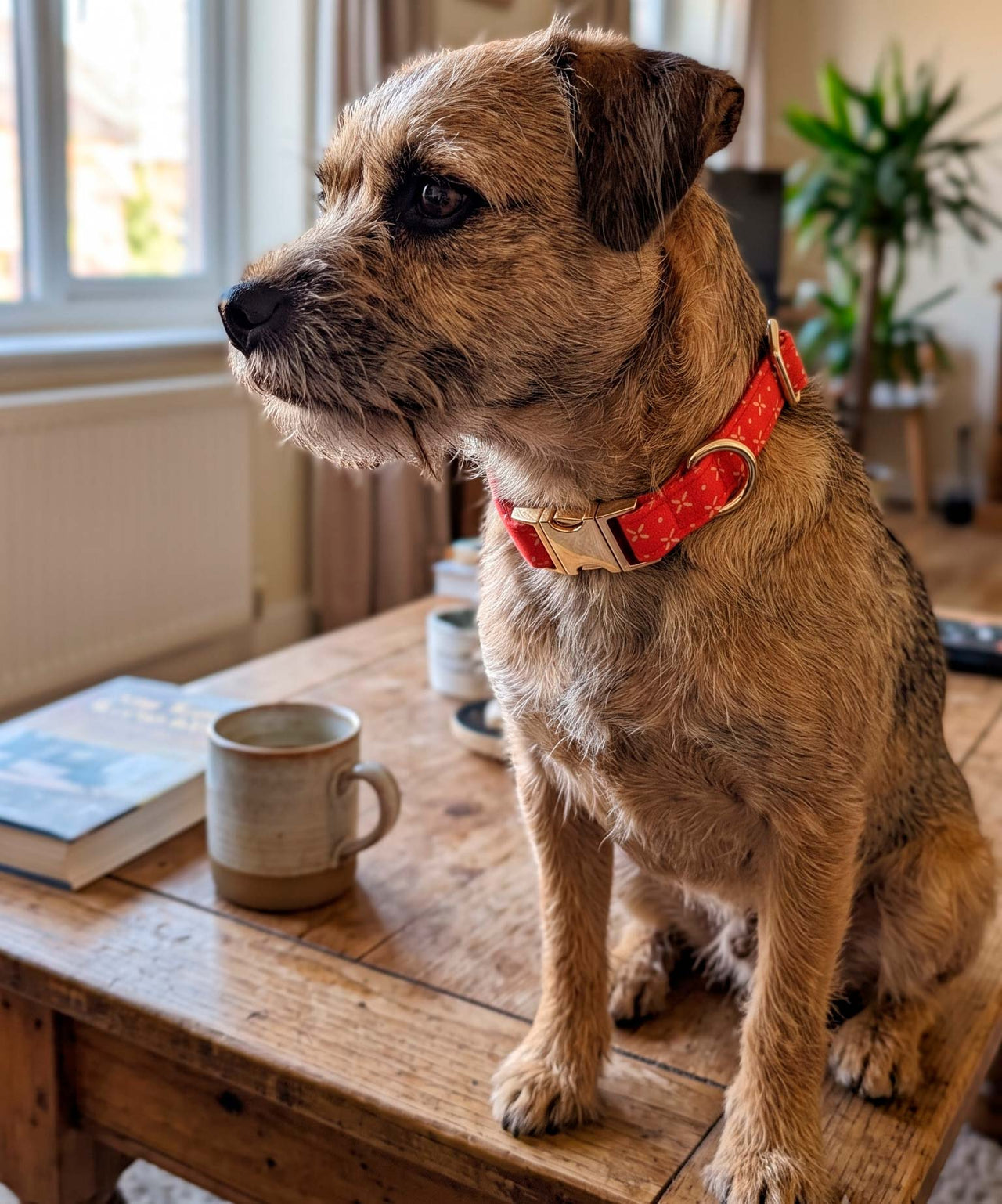 Collar RED BLOOM